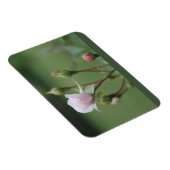 Rosenknospe Magnet (Rechte Seite)