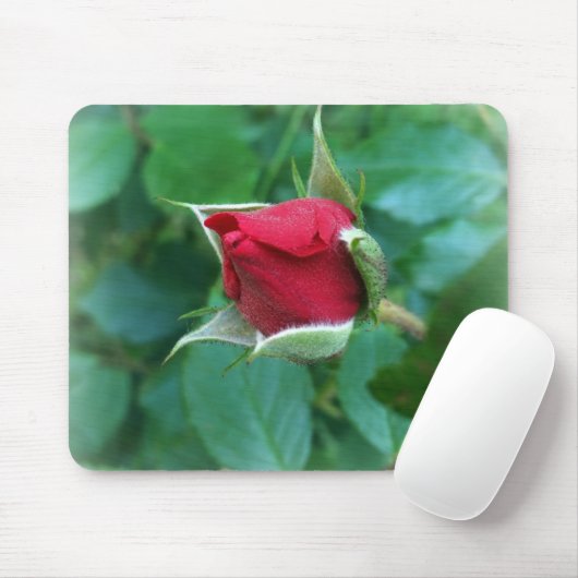 Rosenknospe Mousepad (Mit Mouse)