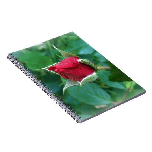 Rosenknospe Notizblock (Rechte Seite)