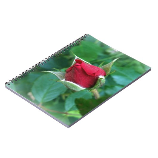 Rosenknospe Notizblock (Linke Seite)