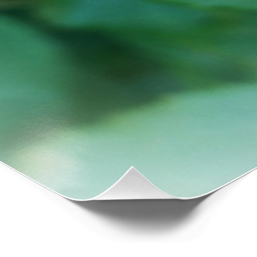 Rosenknospe Poster (Ecke)