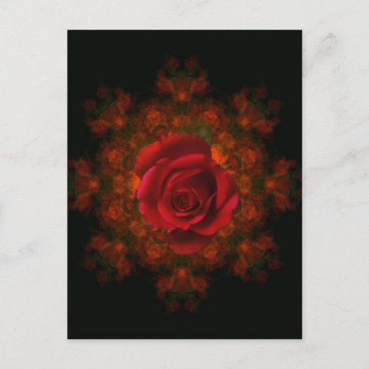 Rosenknospe Postkarte (Vorderseite)