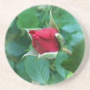 Rosenknospe Untersetzer