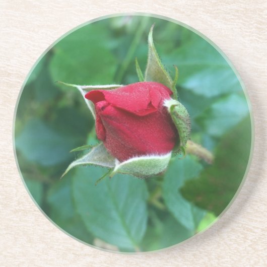 Rosenknospe Untersetzer (Vorne)