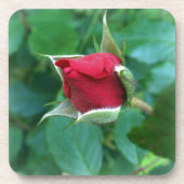 Rosenknospe Untersetzer (Vorderseite)