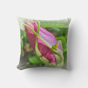Rosenknospe zur Rose von Pink Beach Kissen