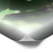 Rosenknospen Poster (Ecke)