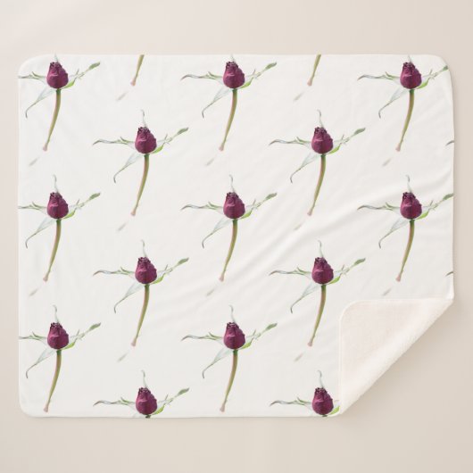 Rosenknospen, sherpadecke (Vorderseite (Horizontal))