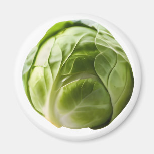 Rosenkohl Lustiger Weihnachtswitz Humor Magnet