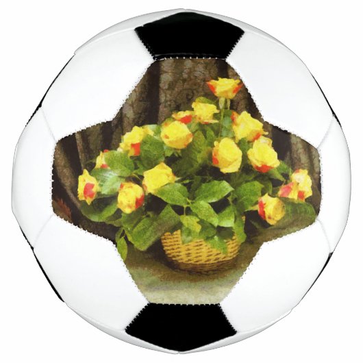 Rosenkörbe Fußball (Vorderseite)