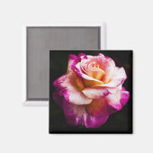 Rosenmagnet für Kühlschrank und Motherboards Magnet (Vorderseite/Rückseite)