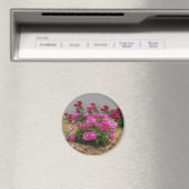 Rosenmagnet Magnet (In Situ (Geschirrspüler))
