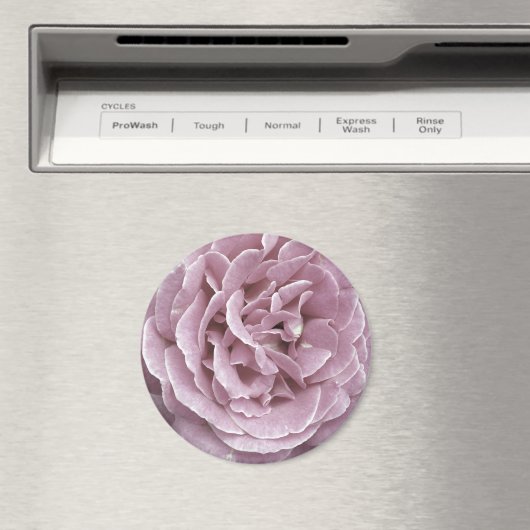 Rosenmagnete Magnet (In Situ (Geschirrspüler))