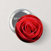 Rosennahaufnahme-Knopf-Abzeichen Button (Vorne & Hinten)