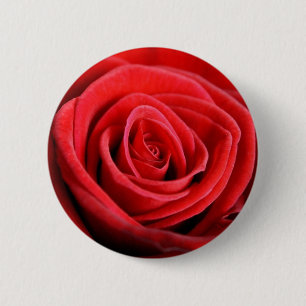 Rosennahaufnahme-Knopf-Abzeichen Button