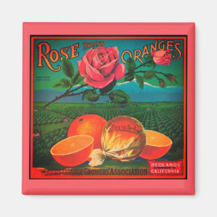 Rosenorangen altes Fruchtlabel Magnet