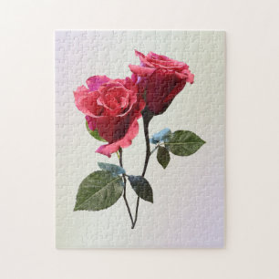 Rosenpaar Puzzle