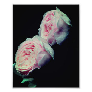 Rosenpaare 8x10 fotodruck