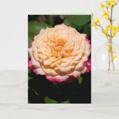 Rosenpracht Karte (Gelbe Blume)