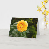 Rosenprint Blush Garden Karte (Gelbe Blume)