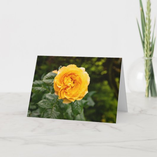 Rosenprint Blush Garden Karte (Vorderseite)