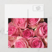 Rosenrosen-Blume Postkarte (Vorne/Hinten)