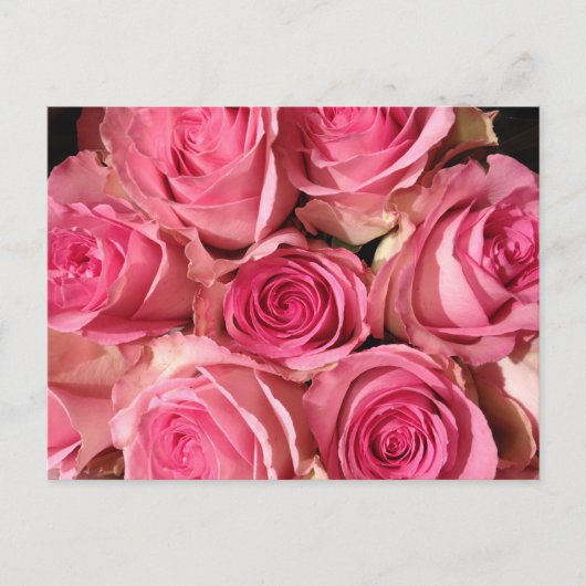 Rosenrosen-Blume Postkarte (Vorderseite)