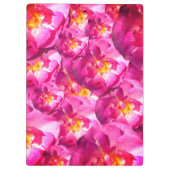 Rosenrosen-Foto Klemmbrett (Rückseite)