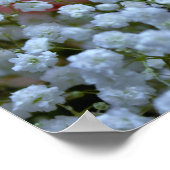 Rosenrosen-Foto Poster (Ecke)
