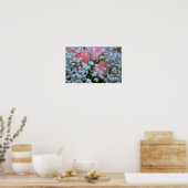 Rosenrosen-Foto Poster (Küche)