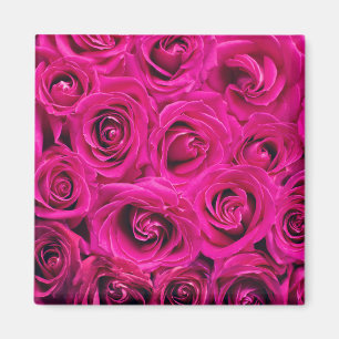 Rosenrosen (Liebe und Romantik) Magnet