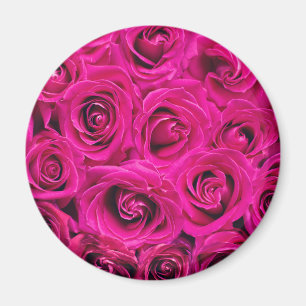 Rosenrosen (Liebe und Romantik) Magnet