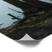 Rosenschwingen am Suwannee Print Poster (Ecke)