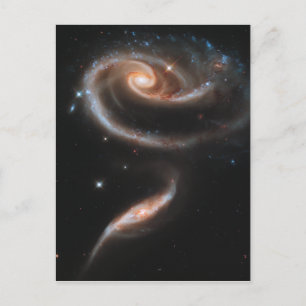Rosenspiralgalaxien Postkarte