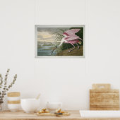 Rosenspoonbill, 1836 Print Poster (Küche)