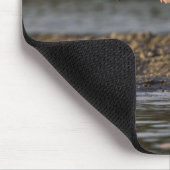 Rosensprecher, Ajaia ajaja, Ding Darling Mousepad (Ecke)