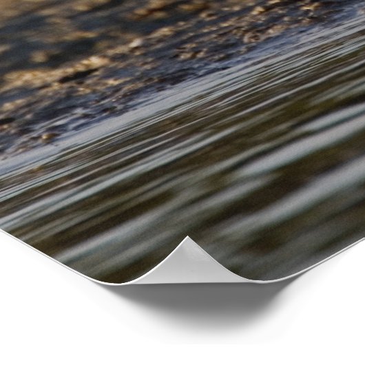 Rosensprecher, Ajaia ajaja, Ding Darling Poster (Ecke)