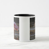 Rosensprecher, Ajaia ajaja, Ding Darling Tasse (Zentrum)