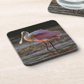 Rosensprecher, Ajaia ajaja, Ding Darling Untersetzer (Linke Seite)