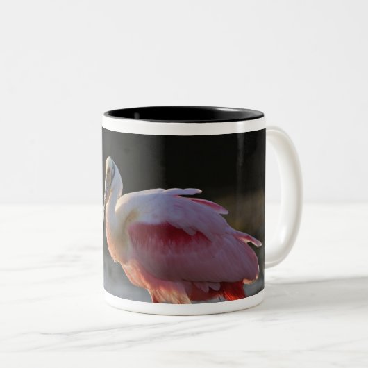 Rosensprecher, Ajaia ajaja, Ding Darling Zweifarbige Tasse (VorderseiteRechts)