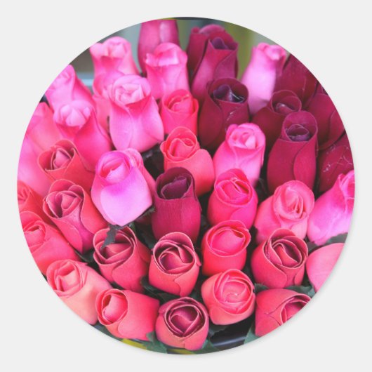 Rosenstich Runder Aufkleber (Vorderseite)