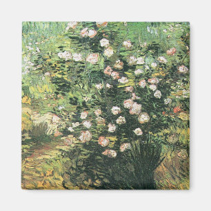 Rosenstrauch in Blüte von Vincent van Gogh Magnet