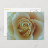 Rosentraum Postkarte (Vorne/Hinten)