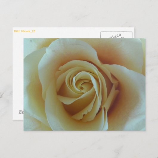 Rosentraum Postkarte (Vorne/Hinten)