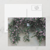 Rosenwand Postkarte (Vorne/Hinten)