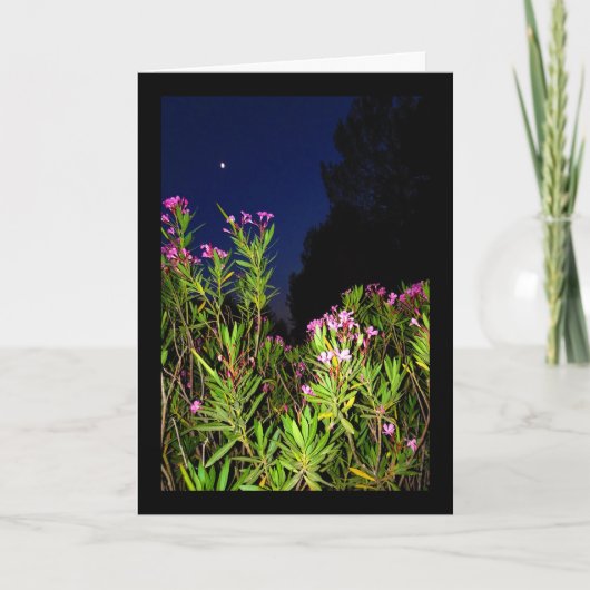 Roser Oleander bei Nacht Karte (Vorderseite)