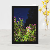 Roser Oleander bei Nacht Karte (Gelbe Blume)
