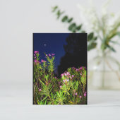 Roser Oleander bei Nacht Postkarte (Stehend Vorderseite)