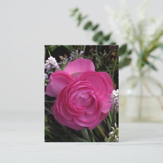 RoseRed.. Postkarte (Stehend Vorderseite)