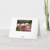 Roses Birthday Karte (Rückseite)